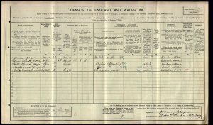 1911 Census George